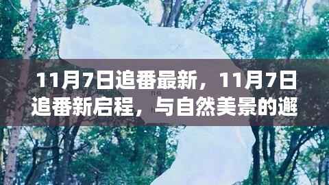 11月7日追番新启程,与自然美景的邂逅,探寻内心平和角落之旅