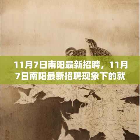 11月7日南阳最新招聘现象下的就业观深度探讨与启示