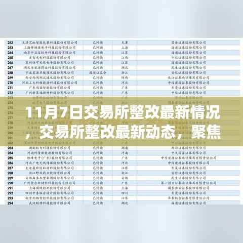 聚焦交易所整改最新动态，11月7日更新情况深度解析