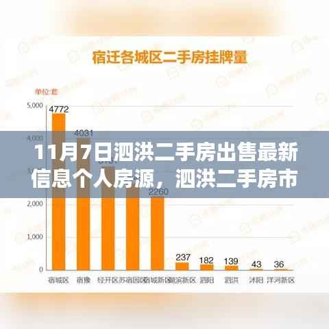 泗洪二手房市场深度解析,个人房源最新信息及其优势分析(最新出售信息)