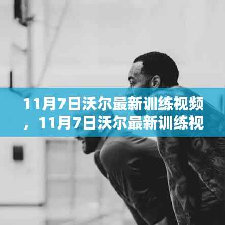 11月7日沃尔最新训练视频观点论述全解析