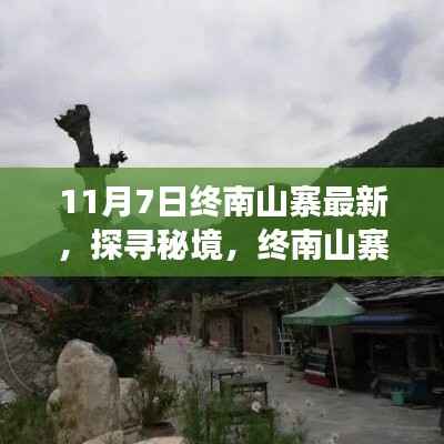 探寻秘境之旅,终南山寨之旅的心灵净土与自然的共舞(最新报道)