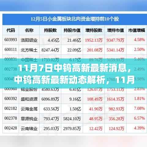 中钨高新最新动态解析,多维视角下的深度解读