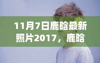 鹿晗最新照片解析,光影中的新星闪耀背后的故事,2017年11月7日独家报道