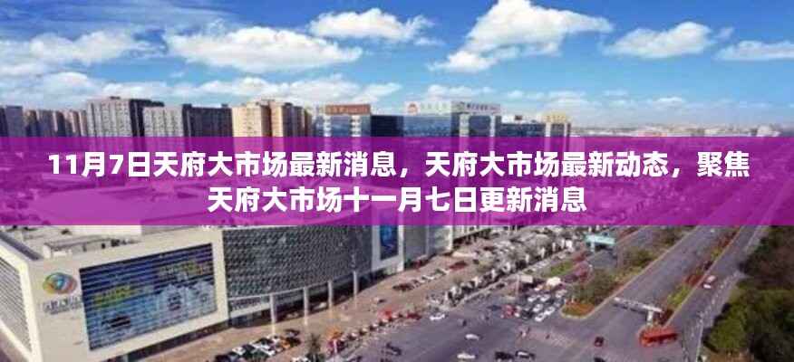 天府大市场最新动态,聚焦十一月七日更新消息
