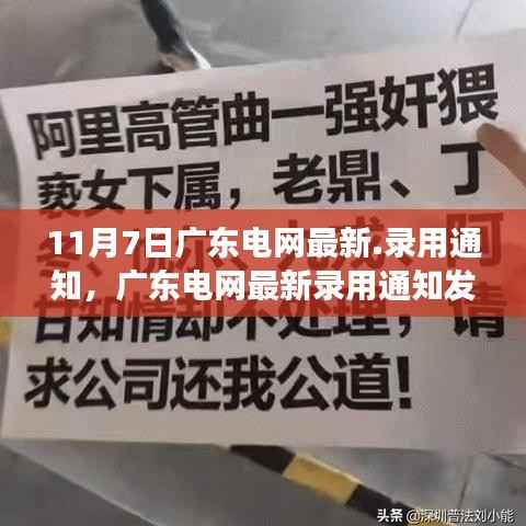 广东电网最新录用通知发布,解读与反思(附日期)