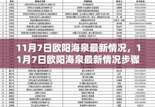 11月7日欧阳海泉最新情况详解,步骤指南与技能学习全攻略