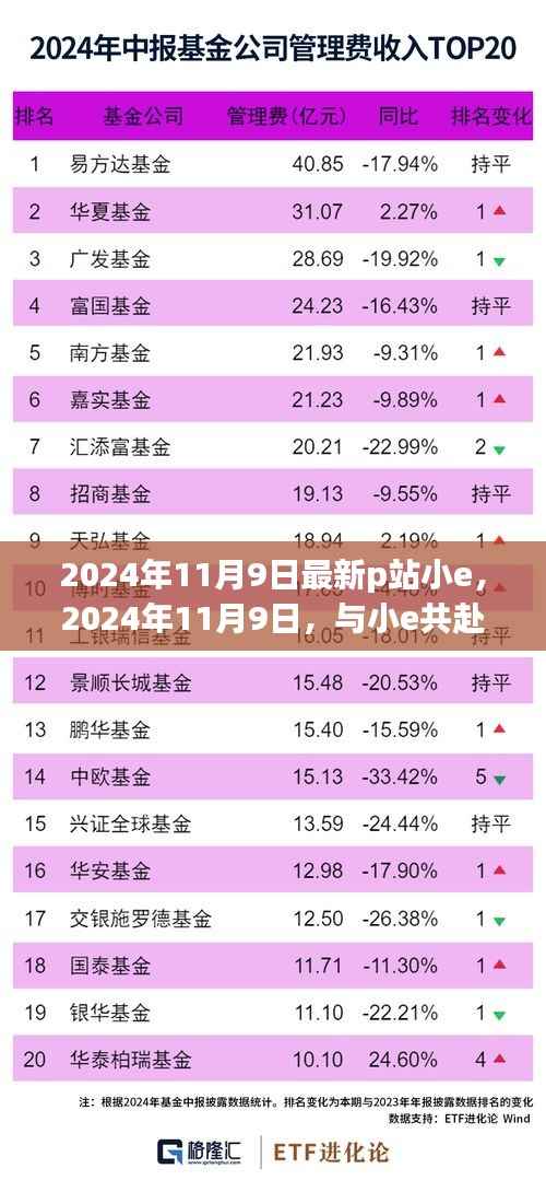 2024年11月9日P站小e之旅,寻找内心的平和与宁静