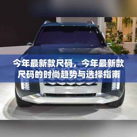 今年最新款尺码的时尚趋势指南与选择攻略