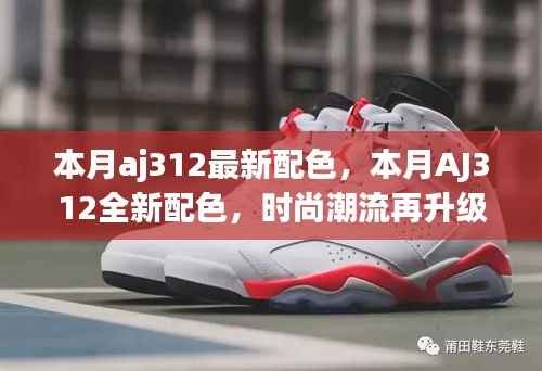 本月AJ312全新配色亮相,引领时尚潮流再升级!