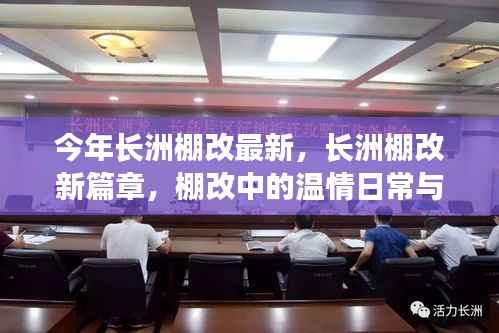 长洲棚改新篇章,温情日常与友情纽带今年最新进展