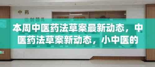 中医药法草案最新动态揭秘,小中医的探秘之旅