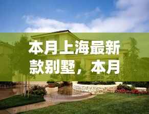 项目介绍 第655页