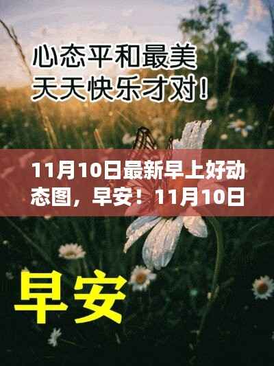 11月10日最新早上好动态图,开启心灵自然之旅的早安祝福
