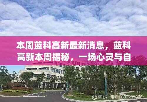 蓝科高新本周揭秘,心灵与自然的邂逅之旅