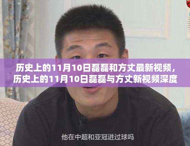 历史上的11月10日磊磊与方丈新视频深度解析,特性、体验、竞品对比与用户群体分析全解析