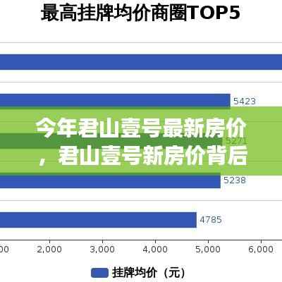 君山壹号最新房价揭秘,背后的故事与未来的自信成就梦想!