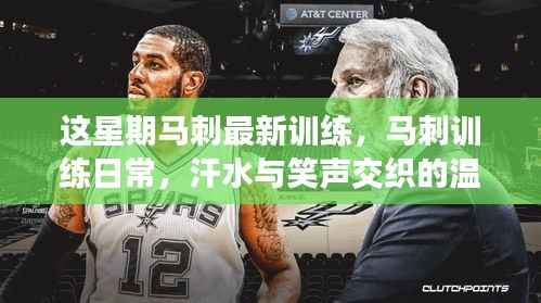 项目介绍 第643页