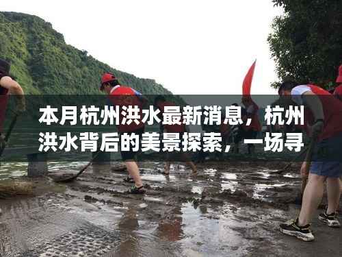 杭州洪水最新动态与美景探索,内心平静的寻找之旅