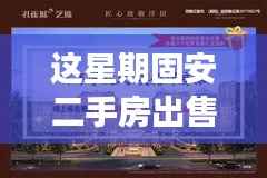 掌握未来从固安二手房出发,最新出售信息,变化中的学习与自信魔力探索