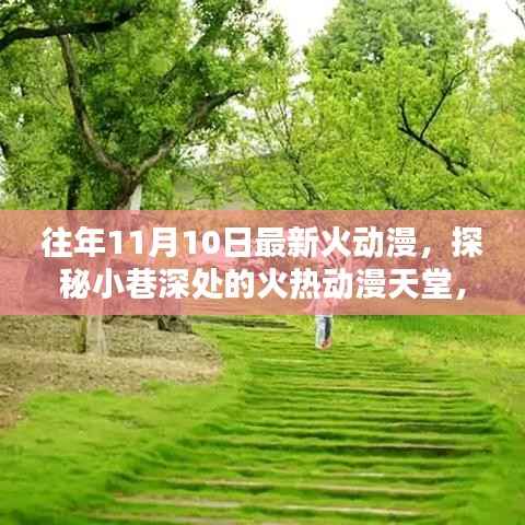 独家揭秘,揭秘小巷深处的火爆动漫天堂——最新火爆动漫独家小店盘点(往年11月10日)