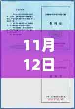 揭秘隐藏小巷的神秘宝藏,探索最新导游证教材体验记