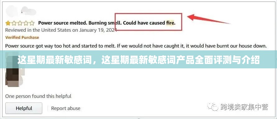 本周热门敏感词汇产品全面评测与介绍