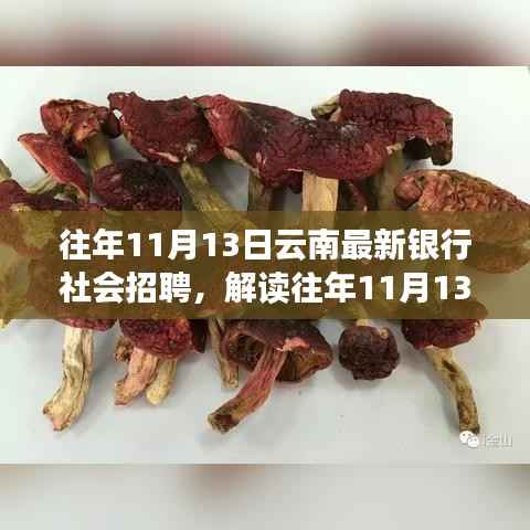 解读,云南银行社会招聘现象——机遇与挑战并存分析(往年11月13日最新招聘动态)