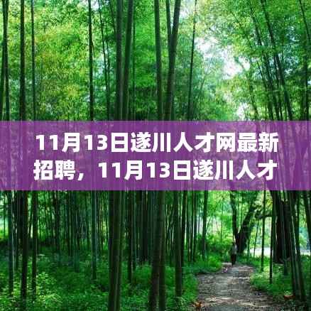 11月13日遂川人才网最新招聘,职场新机遇等你来发掘