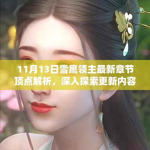 11月13日雪鹰领主最新章节顶点解析,深入探索更新内容