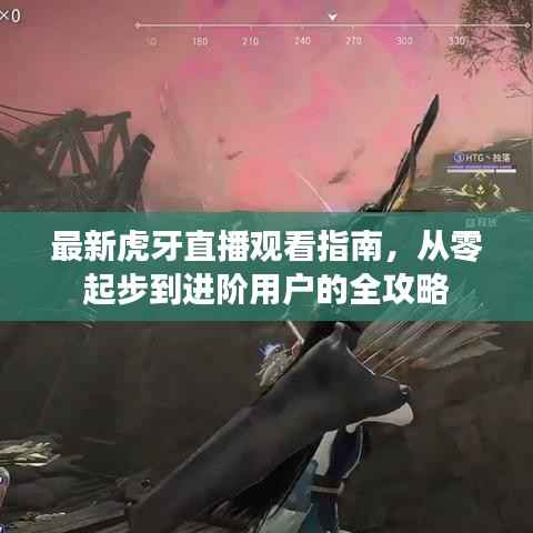 最新虎牙直播观看指南,从零起步到进阶用户的全攻略