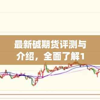 最新碱期货评测与介绍,全面了解11月13日市场趋势