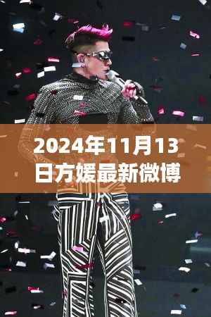 方媛最新微博动态,星光闪耀与影响力回顾,2024年11月13日记录时刻