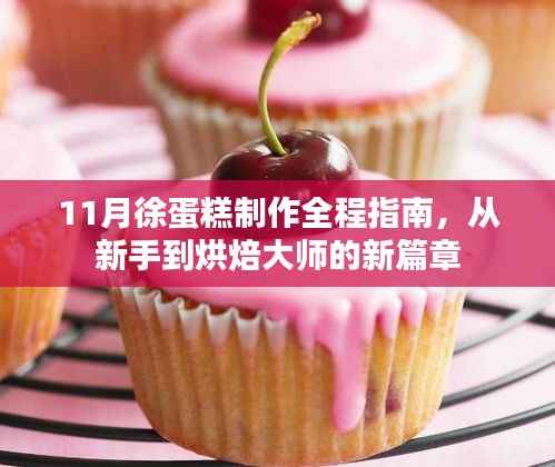 11月徐蛋糕制作全程指南，从新手到烘焙大师的新篇章