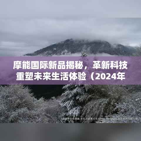 摩能国际新品揭秘,革新科技重塑未来生活体验(2024年11月14日最新消息)