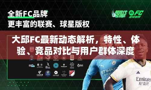 大邱FC最新动态解析,特性、体验、竞品对比与用户群体深度分析(11月14日)