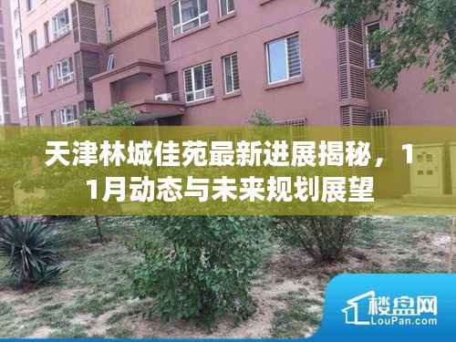 天津林城佳苑最新进展揭秘,11月动态与未来规划展望