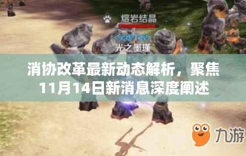 消协改革最新动态解析,聚焦11月14日新消息深度阐述