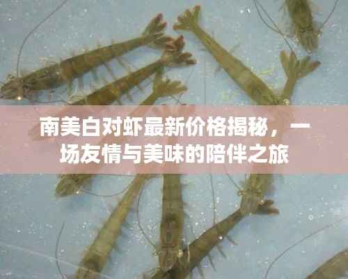 聚精会神 第5页