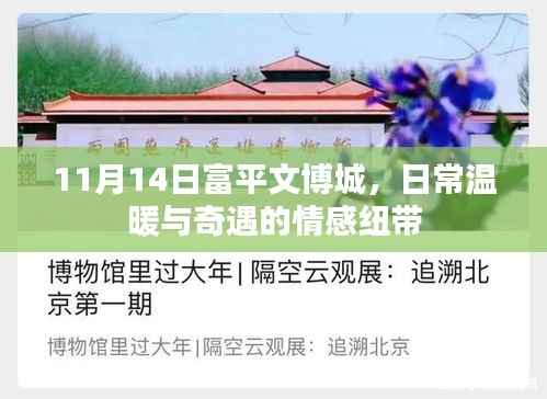 11月14日富平文博城,日常温暖与奇遇的情感纽带