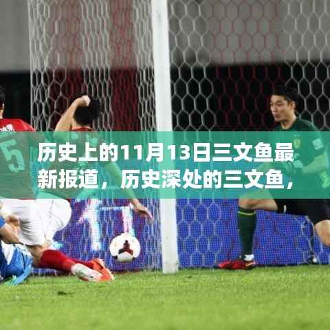 探寻三文鱼的历史印记,揭秘三文鱼在11月13日的变迁与最新报道