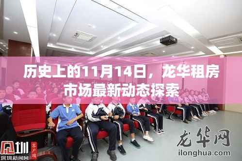 历史上的11月14日,龙华租房市场最新动态探索