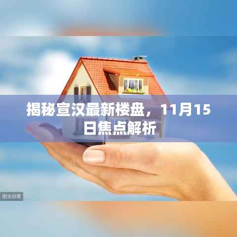 揭秘宣汉最新楼盘,11月15日焦点解析