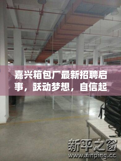 嘉兴箱包厂最新招聘启事,跃动梦想,自信起航,共赴成功之旅