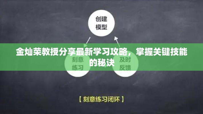 金灿荣教授分享最新学习攻略,掌握关键技能的秘诀