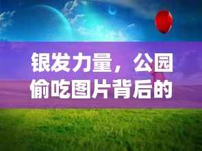 银发力量,公园偷吃图片背后的励志人生之旅