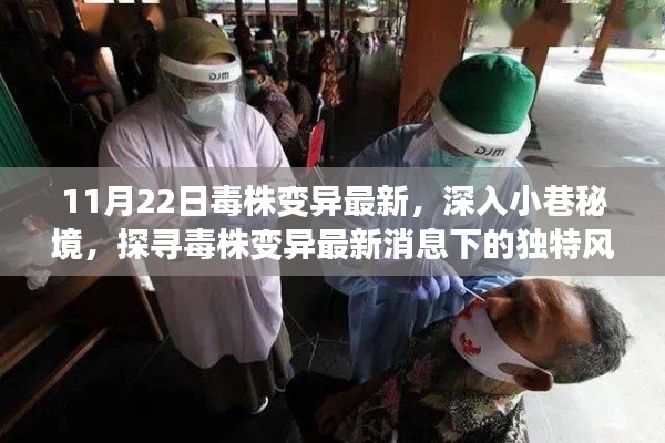 探寻秘境小店,毒株变异最新消息下的独特风味体验