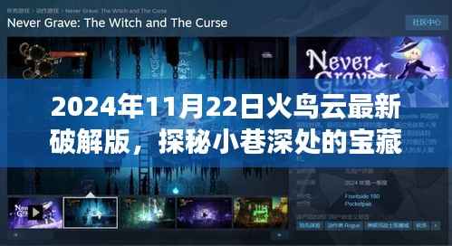 揭秘火鸟云破解版,探秘小巷深处的宝藏与特色小店的神秘面纱(违法犯罪警示)