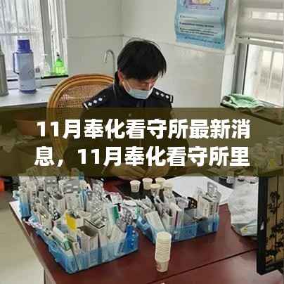 11月奉化看守所,心灵与自然美景的相遇之旅