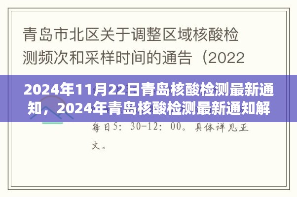 青岛核酸检测最新通知解析,关于2024年11月22日的最新通知